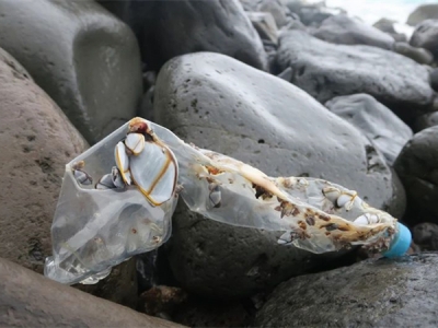 證明“海洋塑料”，需要遵循哪些標(biāo)準(zhǔn)？